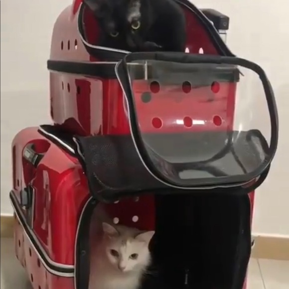 Pet carrier - Picture 3 of 7